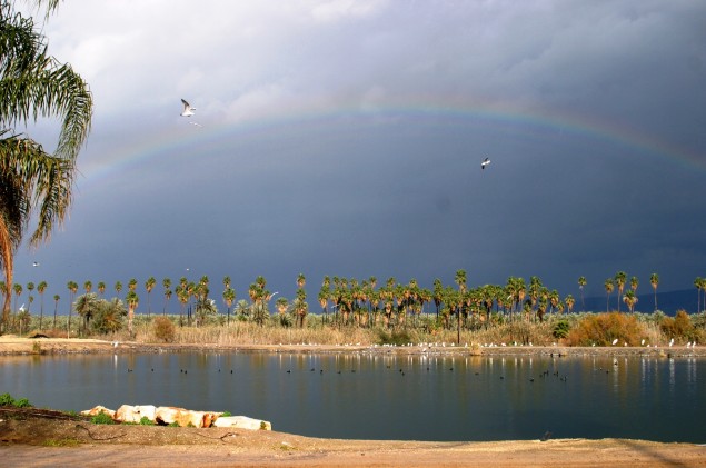 Photo courtesy of Bio-Tour Sde Eliyahu