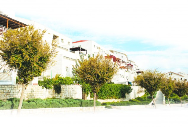 Picturesque street in Ramat Beit Shemesh. Photo: Yehoshua Halevi