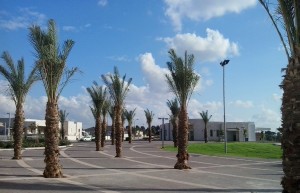 An area in the rebuilt Netzer Hazani. A social hall in the background is dedicated to the memory of Itamar Yefet, h"yd. Yefet, a resident of  Netzer Hazani, was murdered in a terrorist attack in 2000.  Photo: Toby Klein Greenwald